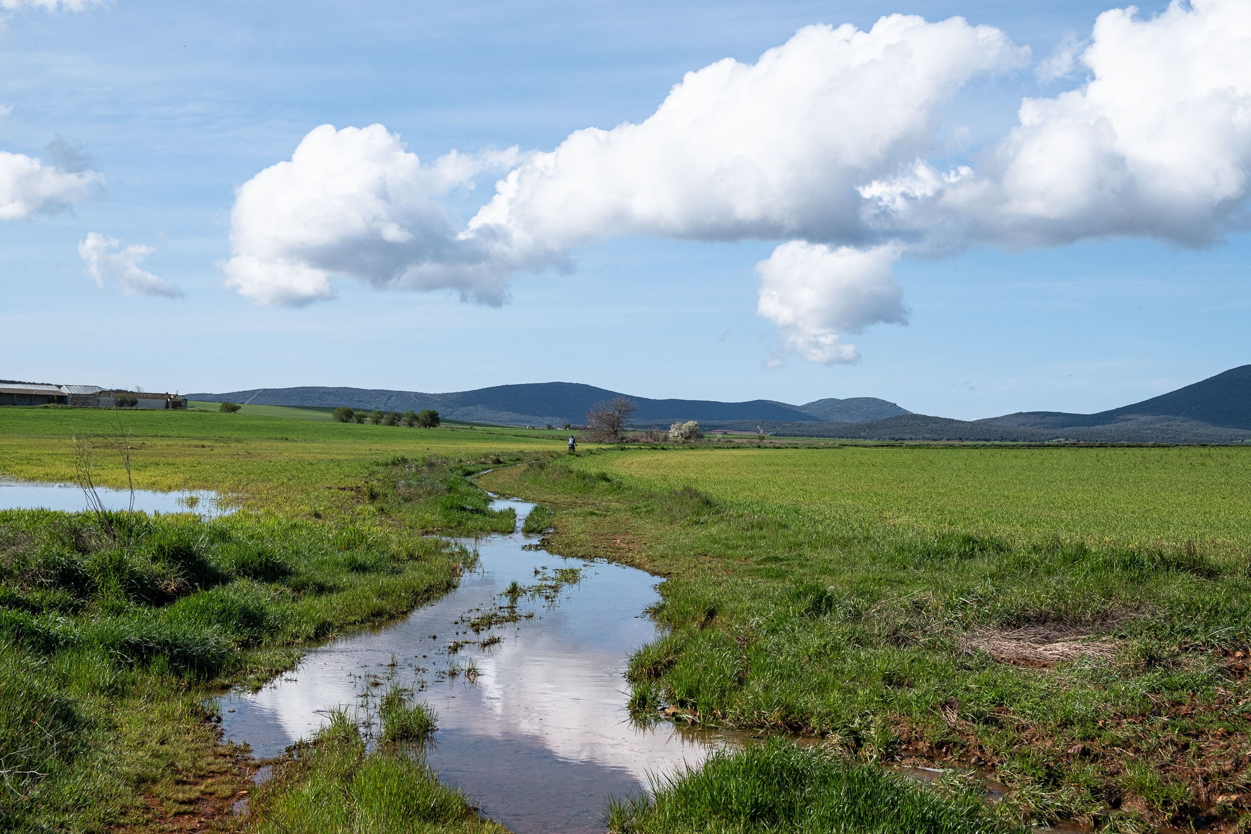 Weite Felder der La Mancha – mit Wasserlauf nach den Regenfällen